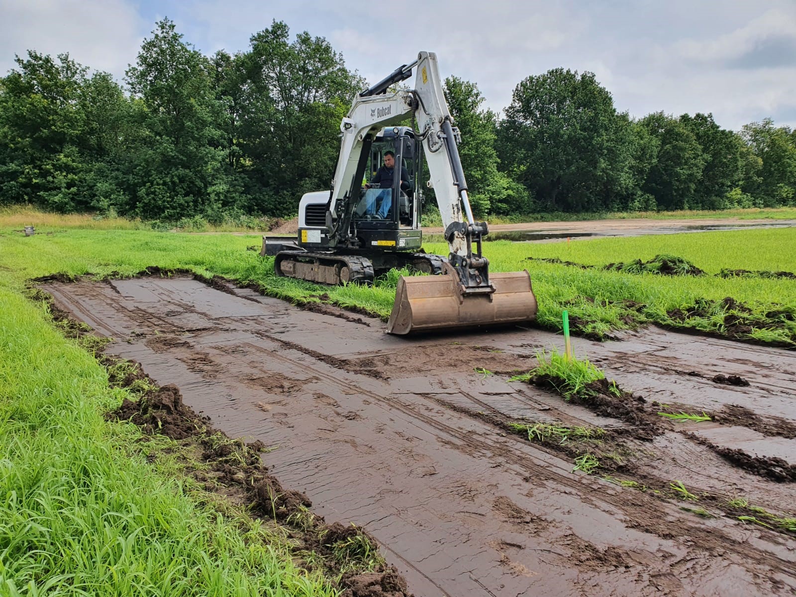 Gescheiden ontgraven Hardenberg